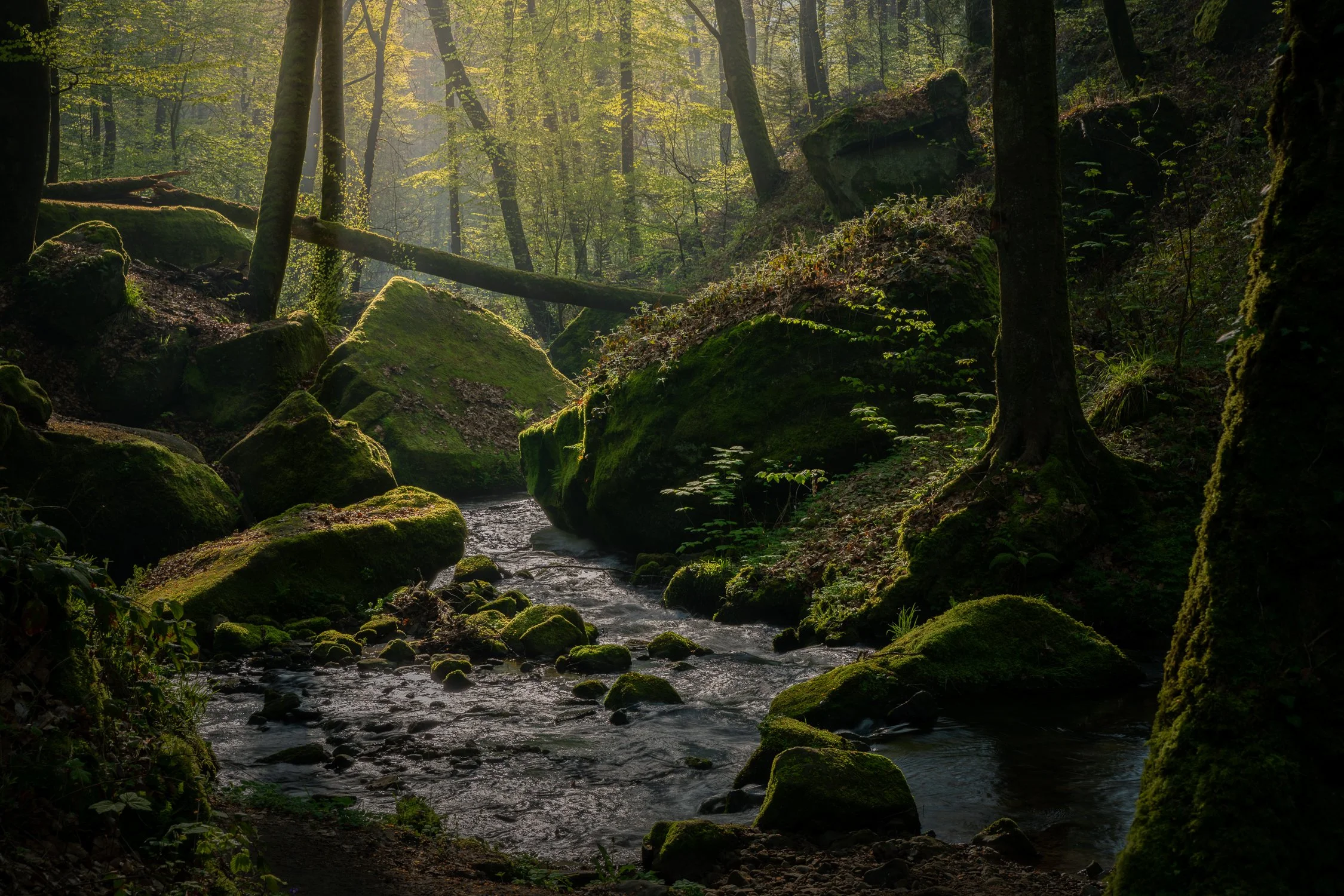 DSC_6035-HDR.jpg