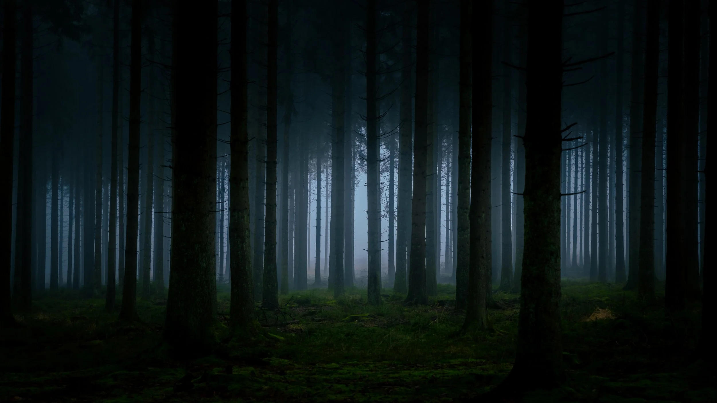 D85_3559.jpg