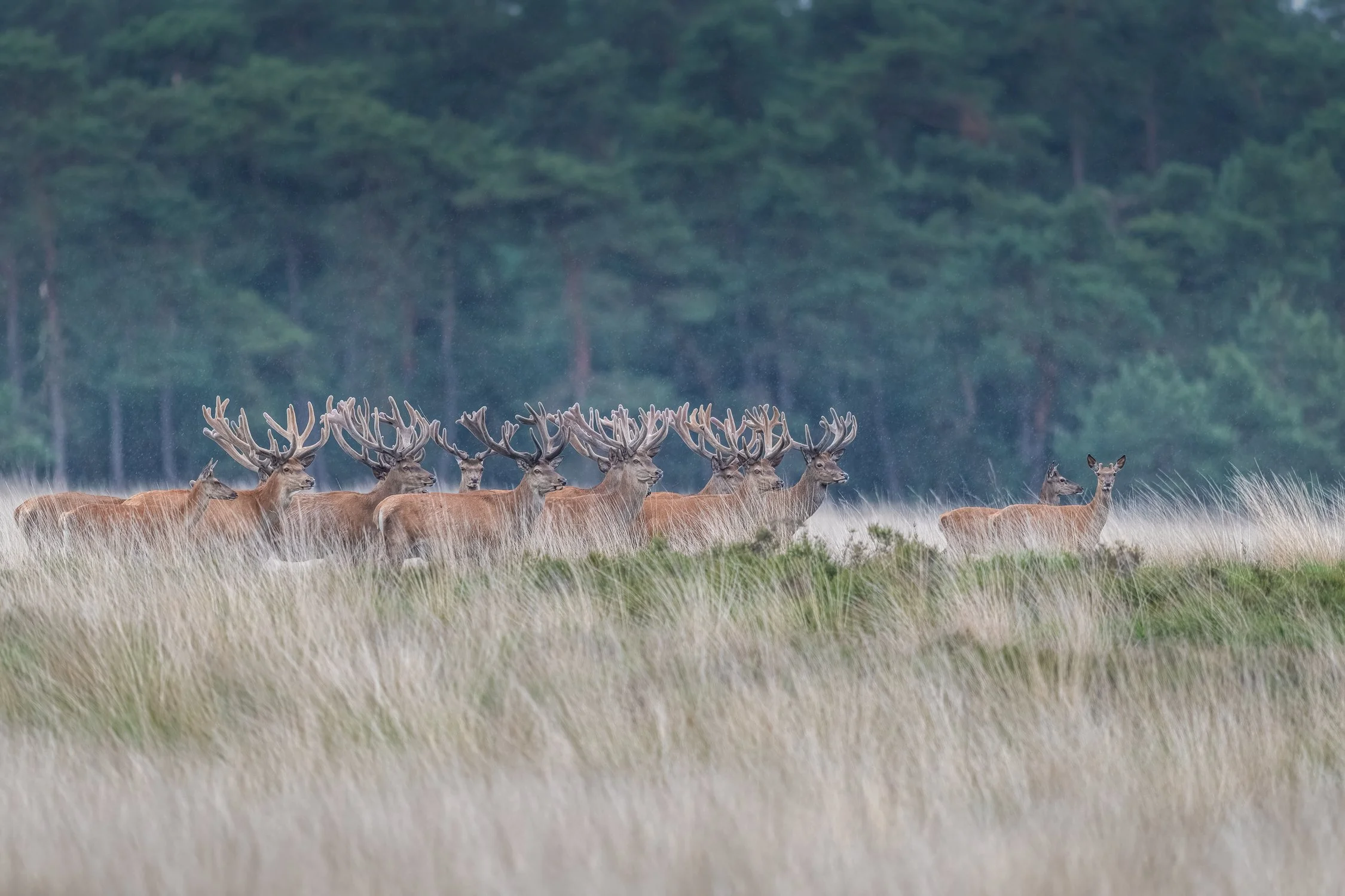 GH (201)-Edit-Edit.jpg