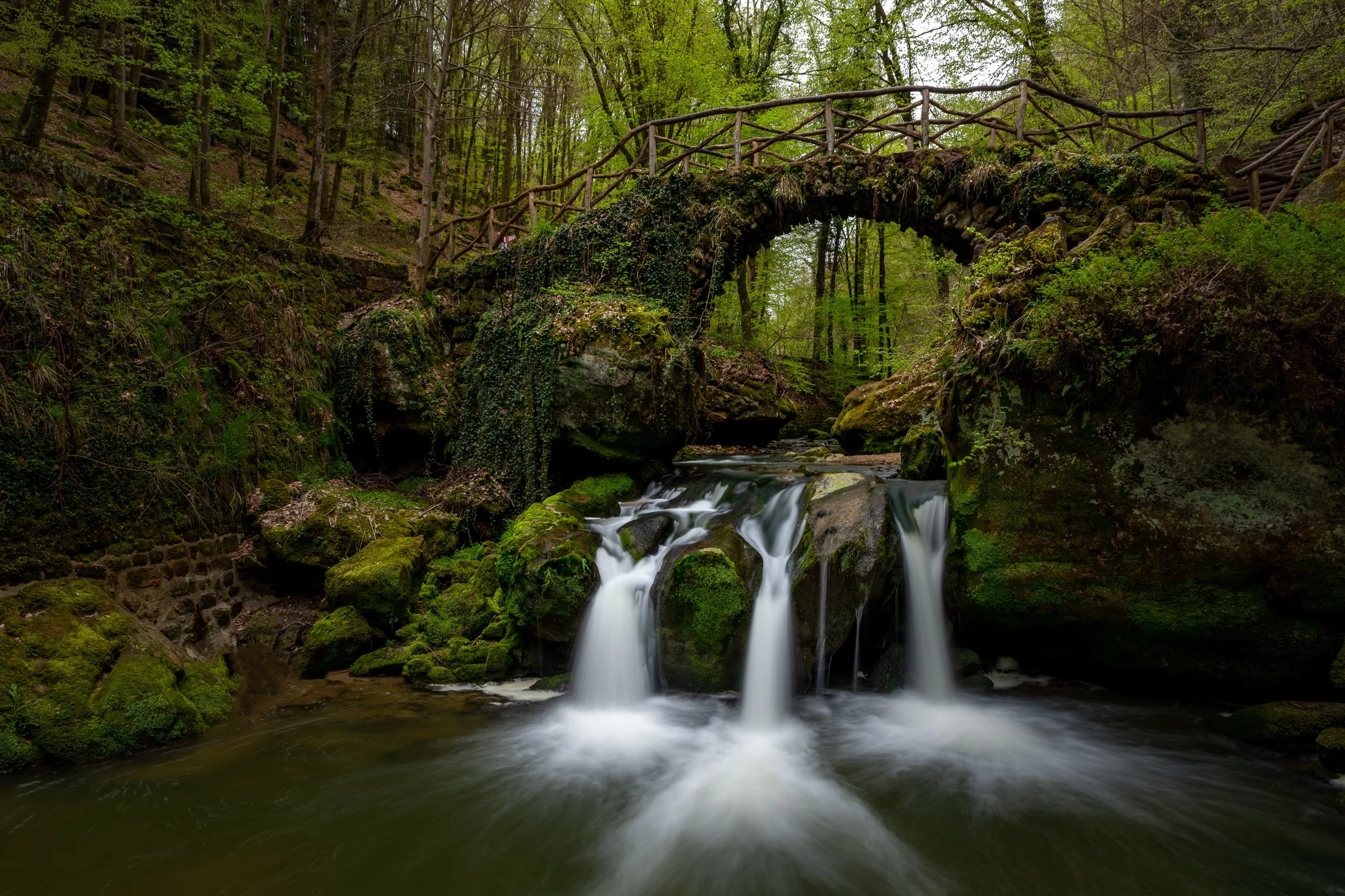 DSC_6121-Edit.jpg
