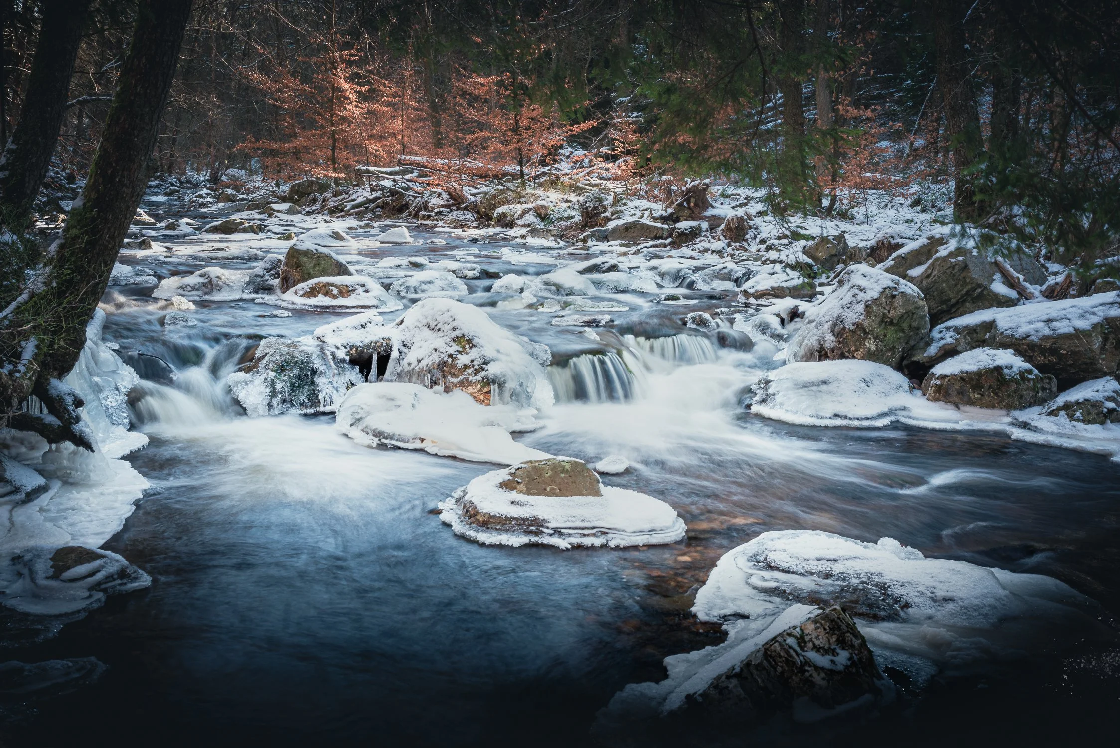 750_6916-Edit.jpg