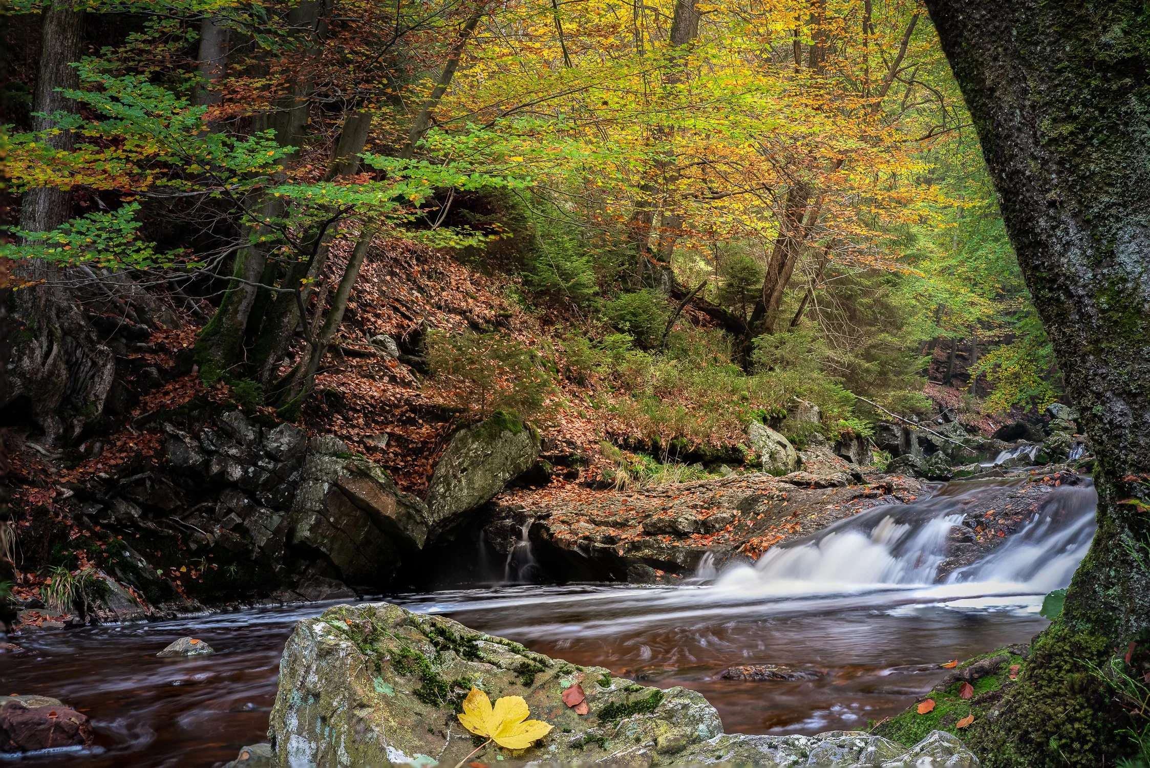 750_0323-Edit.jpg