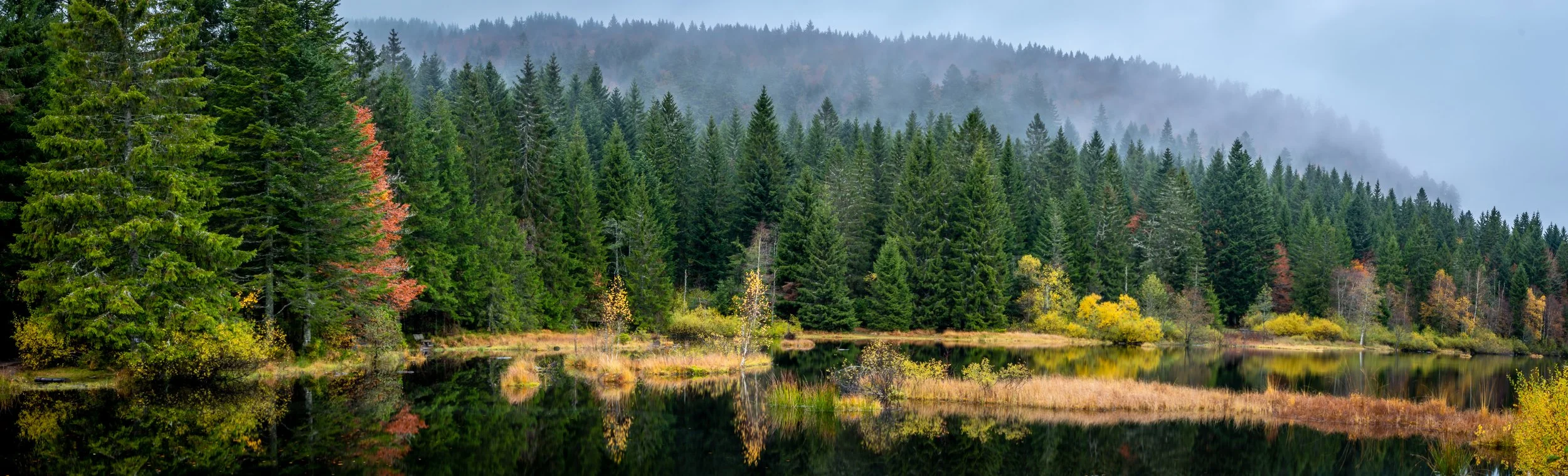 D85_2922-Pano.jpg