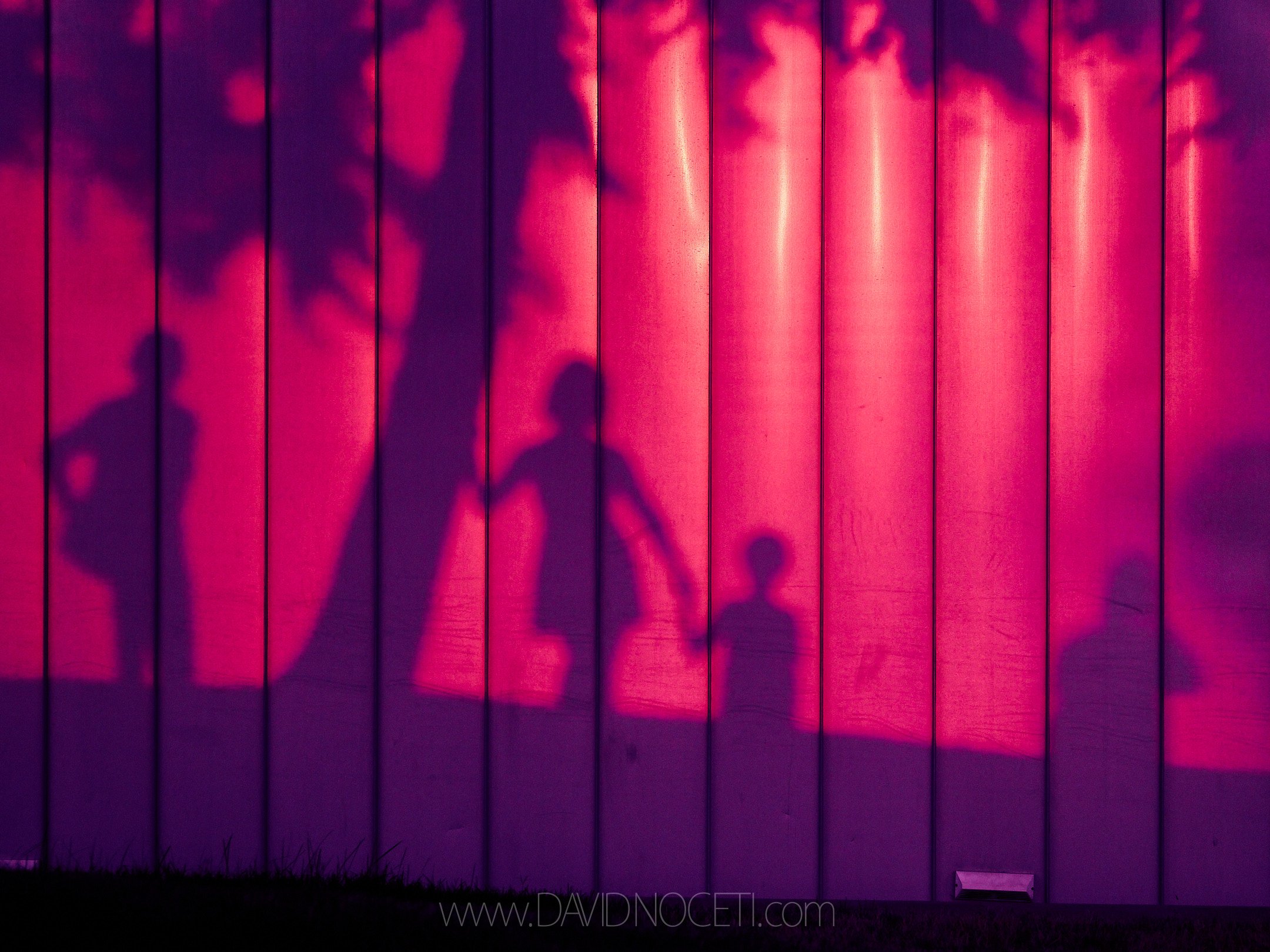 Fleeting Moments