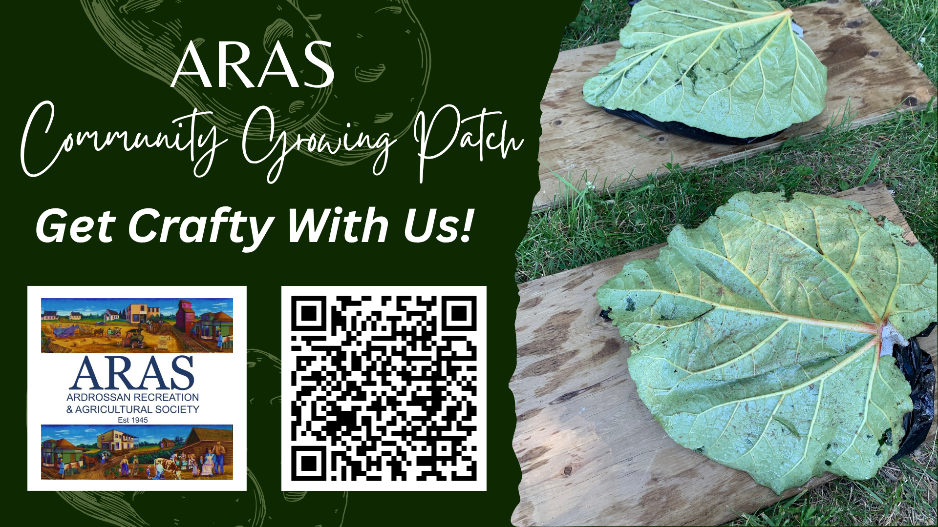 ARAS Community Growing Patch: Kitchen garden