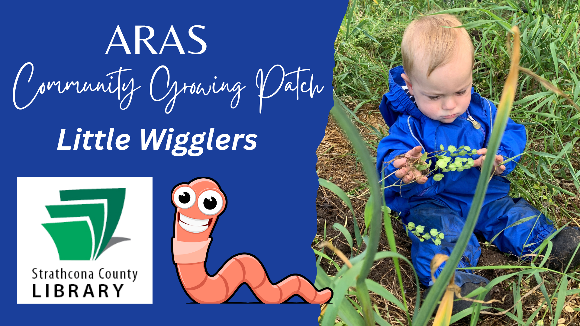 ARAS Community Growing Patch: Lil Wigglers