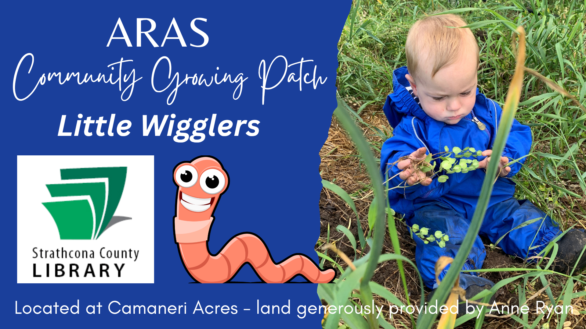 ARAS Community Growing Patch: Lil Wigglers