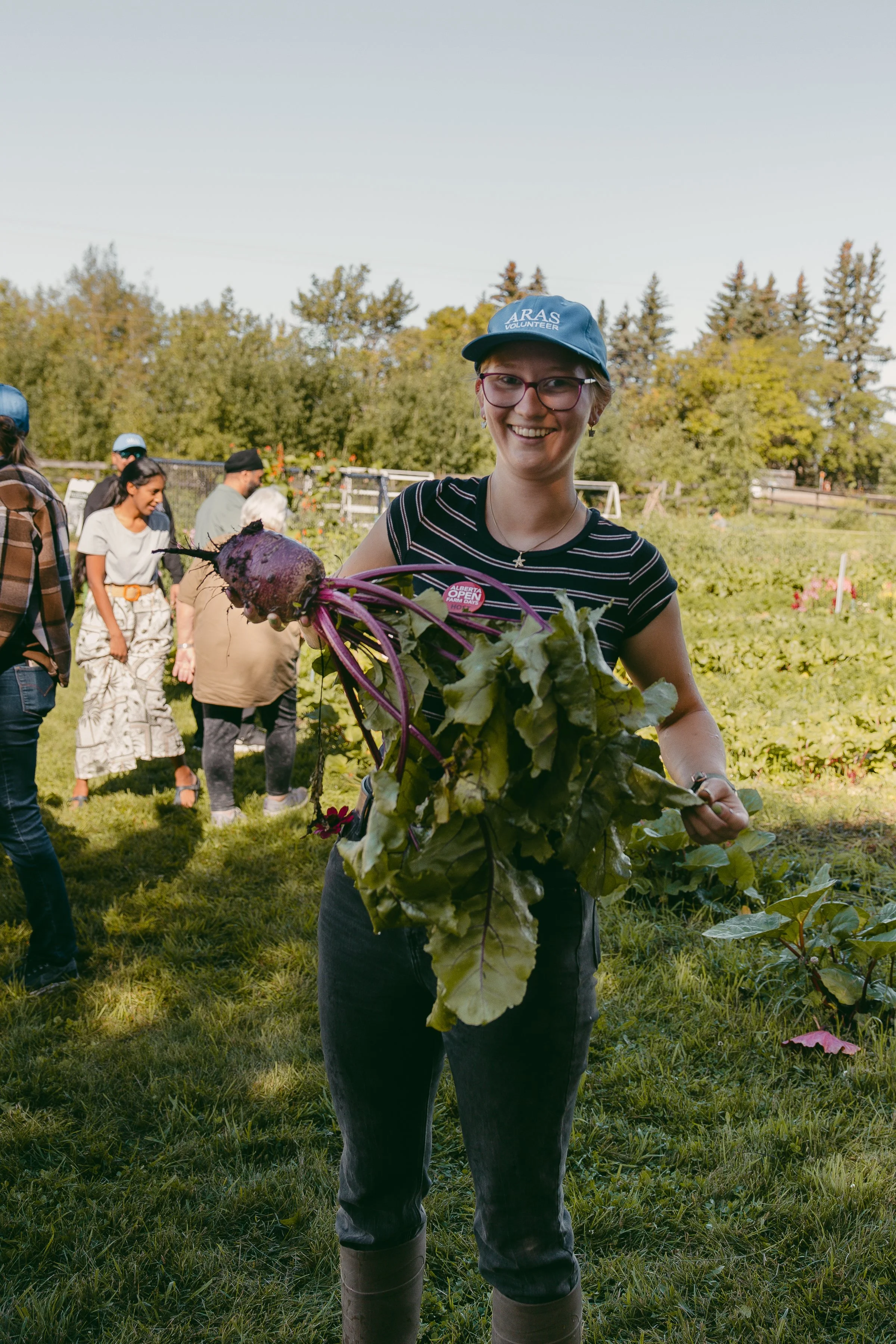 LCH-OpenFarmDays25-252.jpg
