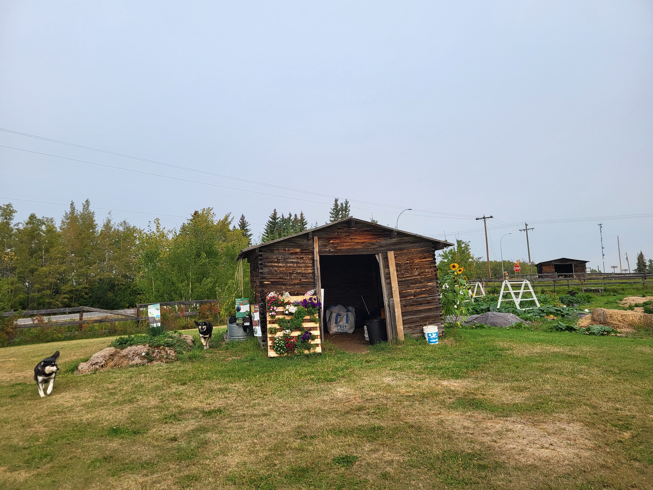 20250907_102240 (1).jpg
