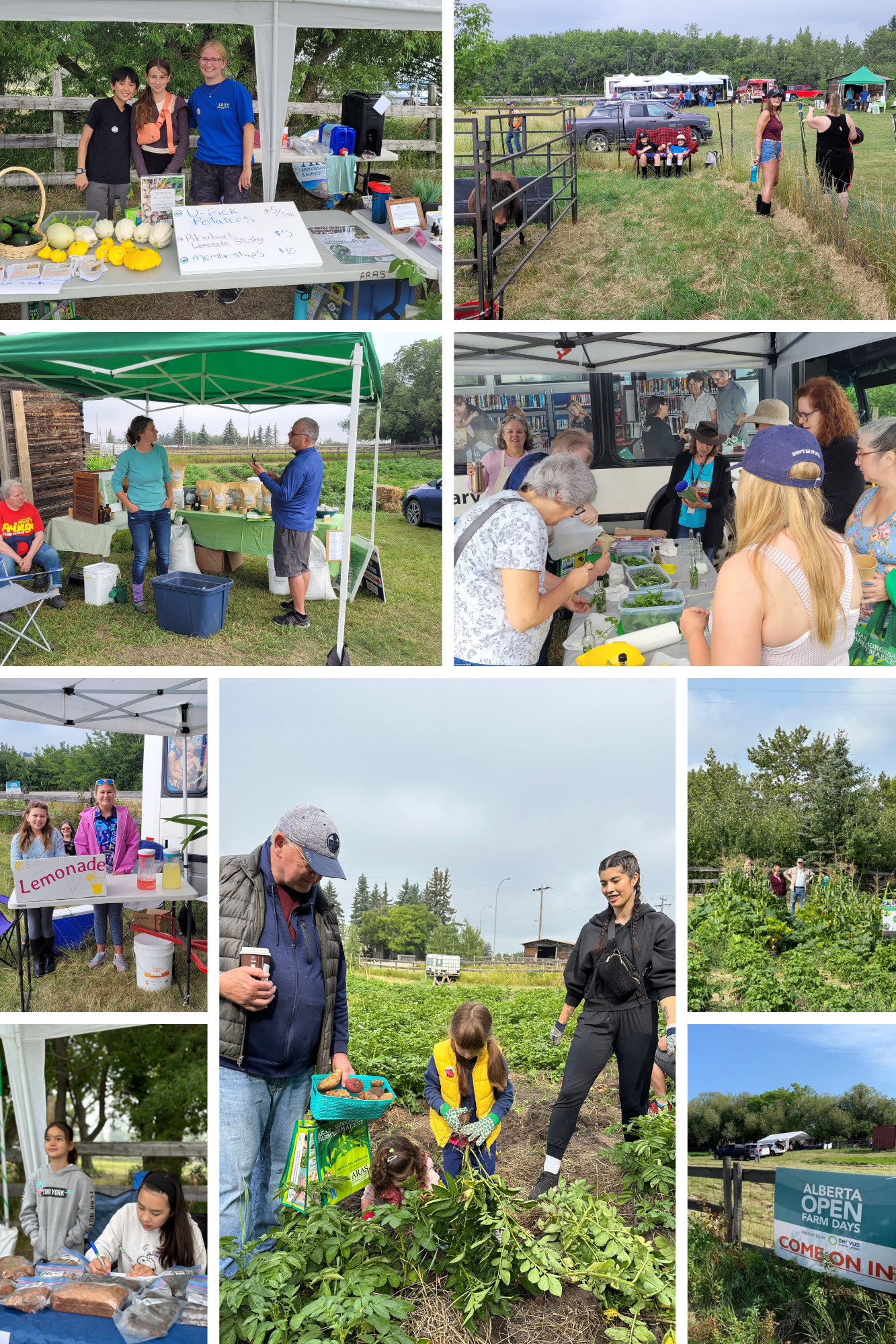 Open Farm Days 2024.png