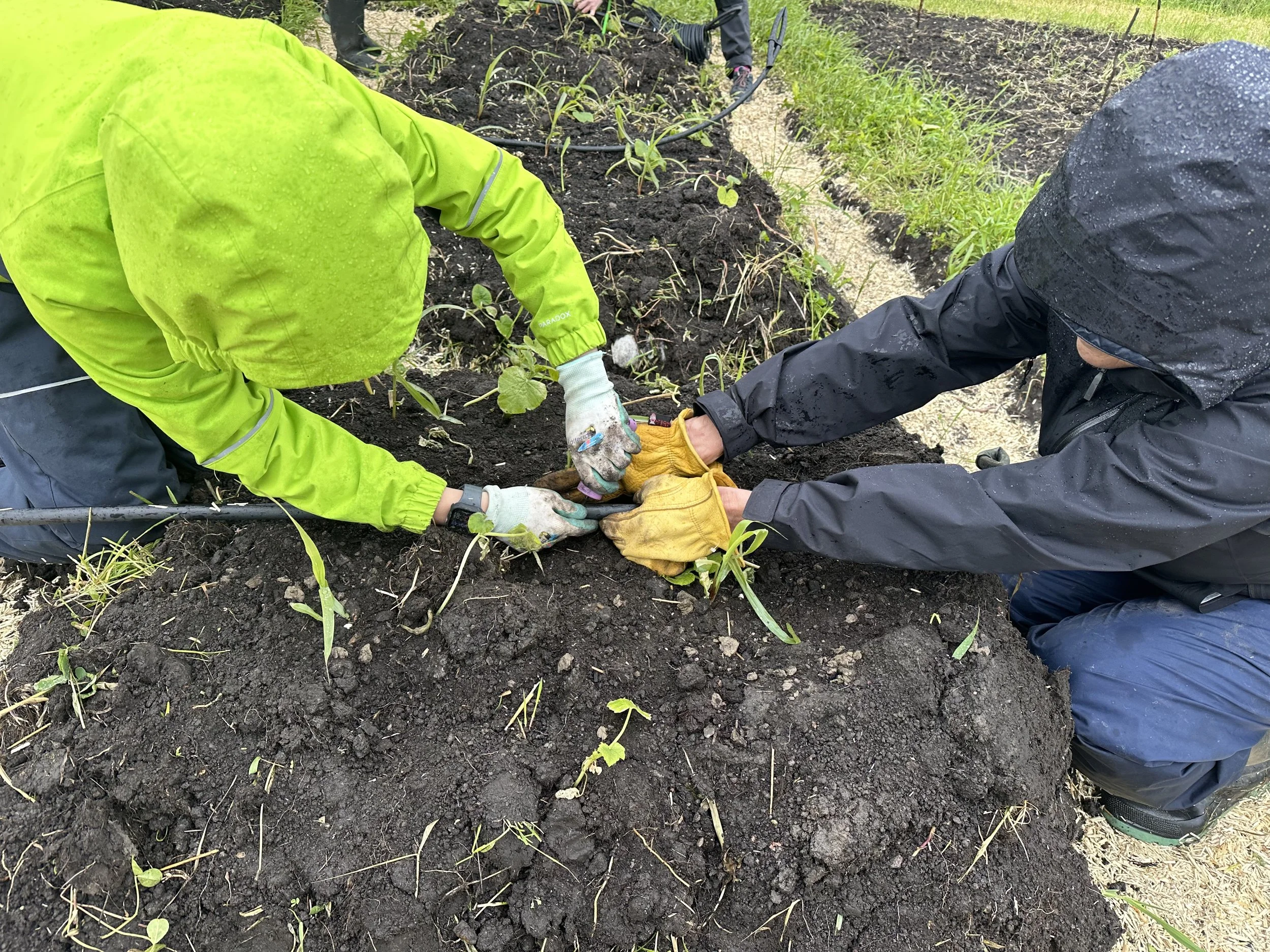 Aiden and Diana poking holes.jpeg