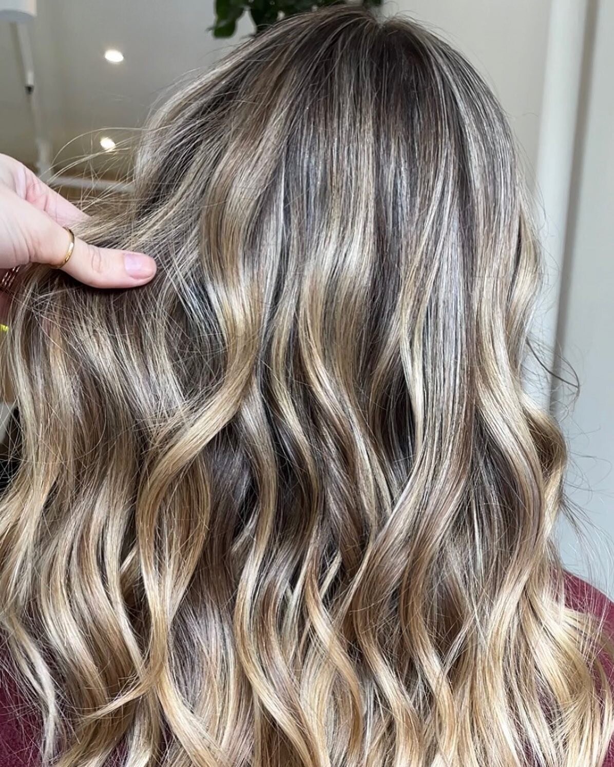 A little warmth for your feed this Thursday thanks to @itsgoldjen 🌤️✨

#staygold #kalamazoohairstylist #kalamazoosalon #portagehairstylist #discoverkzoo #wmu #redkenshadeseq #goldwell #randco