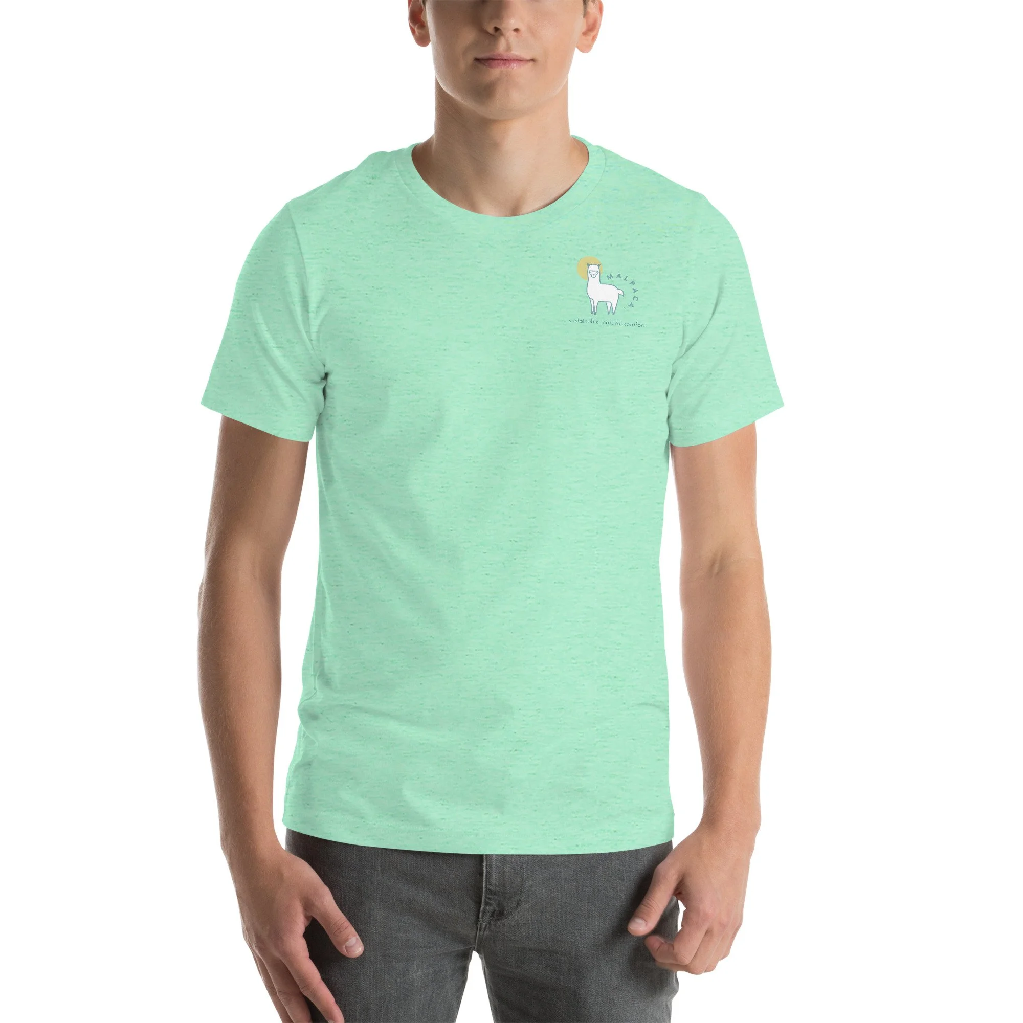 unisex-staple-t-shirt-heather-mint-front-68a60a3227323.jpg
