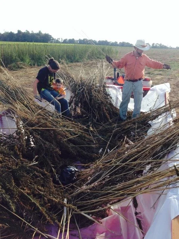 DougKatieKentuckyHempSeedHarvest.jpg