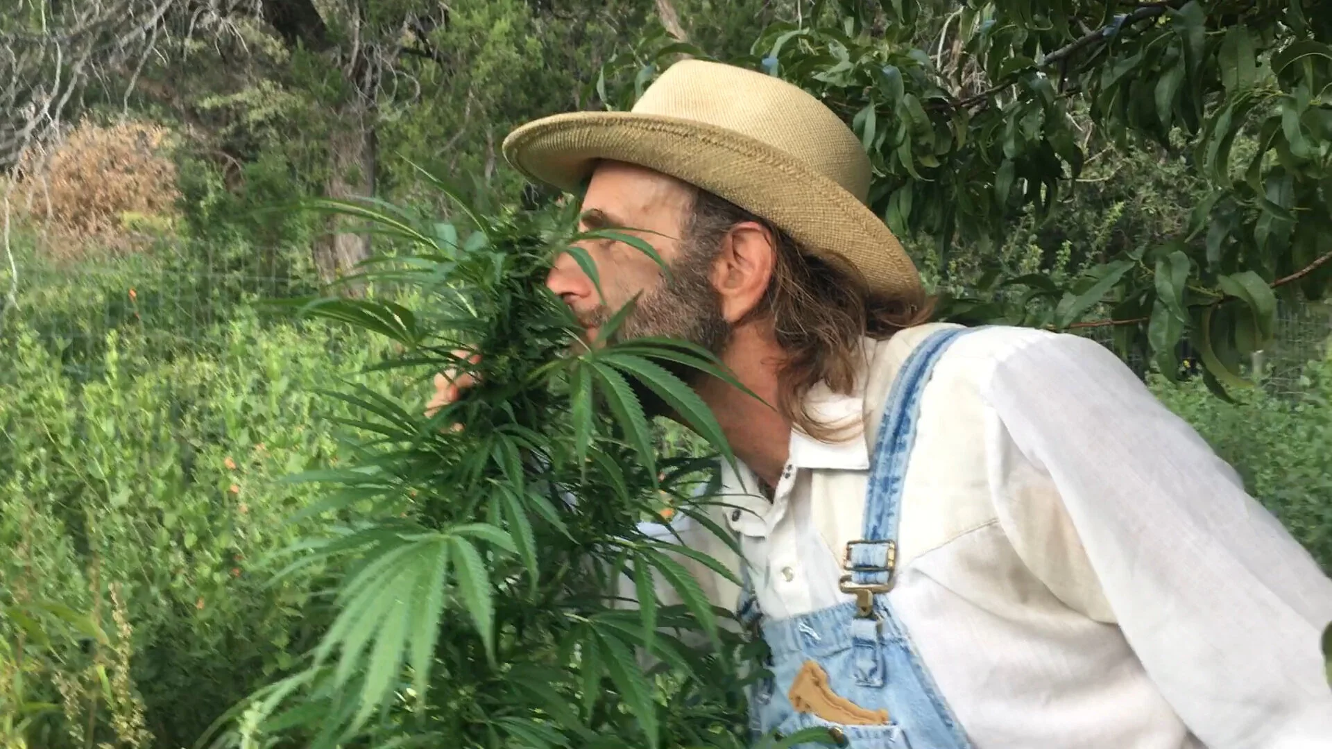 Doug Fine Keynotes the New Mexico Bar Association 