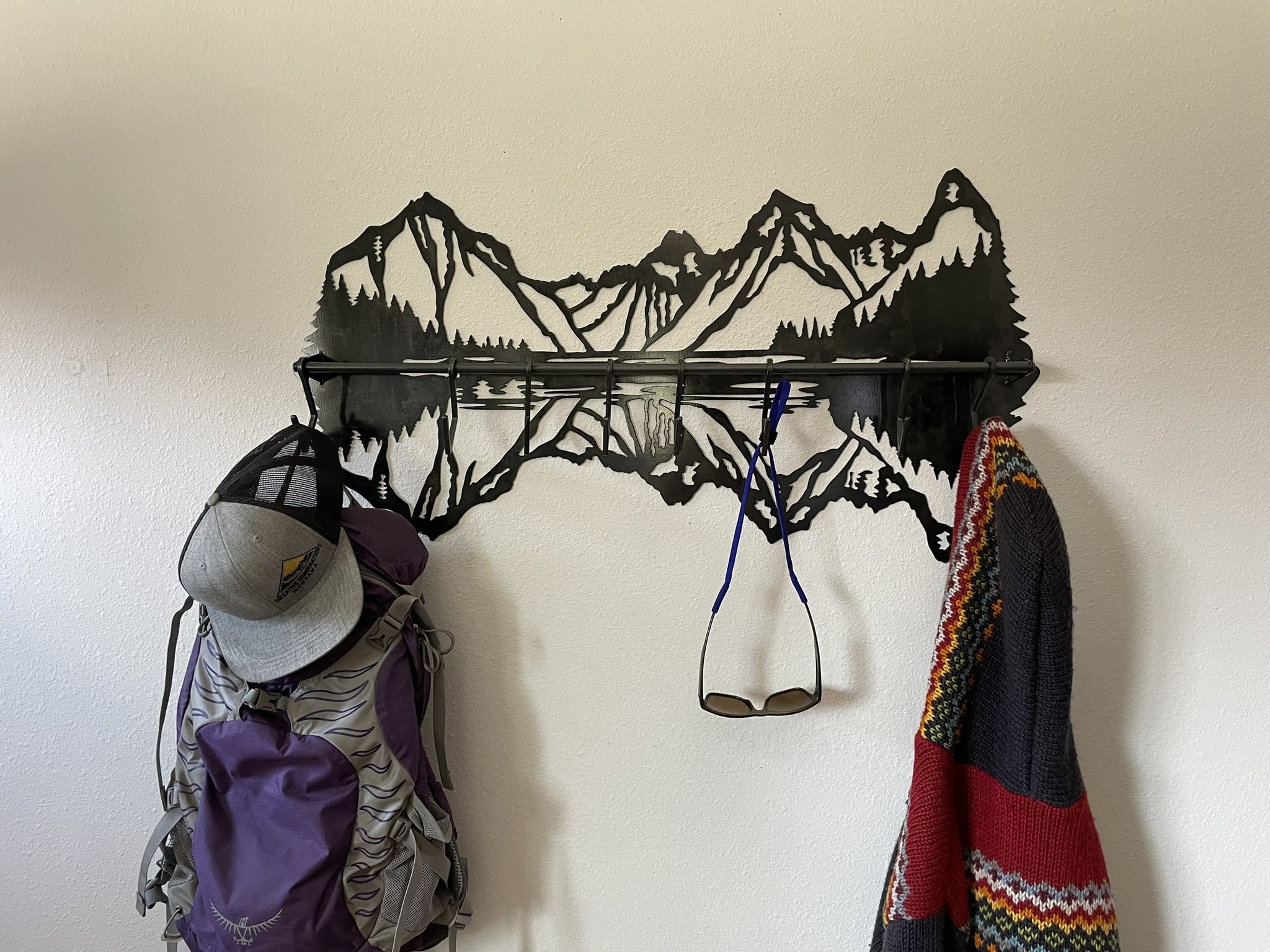 Lake McDonald View Steel Coat Rack