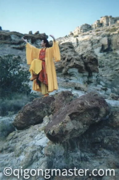 yllwmount2.jpg