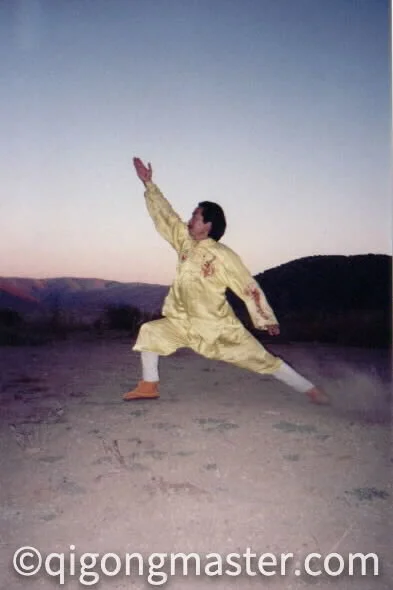 yllwhsingi.jpg