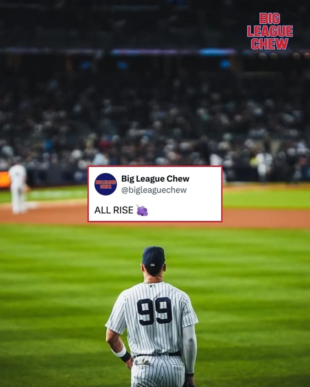 ALL RISE FOR THE MVP 🍇