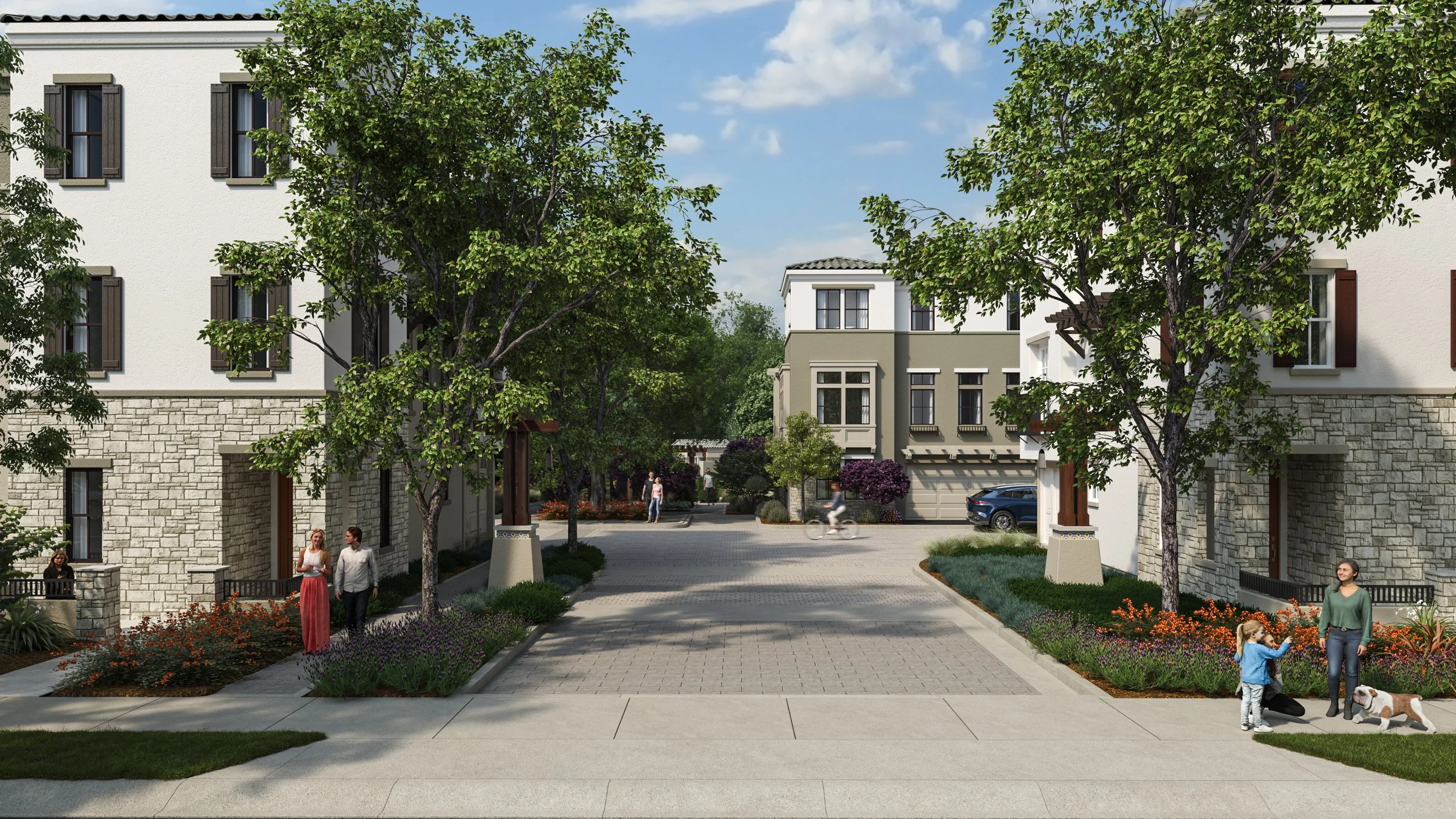 DOV24-172 TM BAY Amelia Pool - Cam 1.jpg