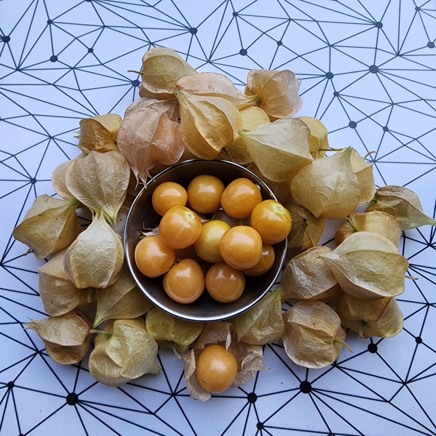 Ground cherries are a favorite around here. We eat them up so quickly. 

Visit www.wormteagardening.ca to find out more information on how to use worm castings in your garden and lawn as well as where you can pick some up.