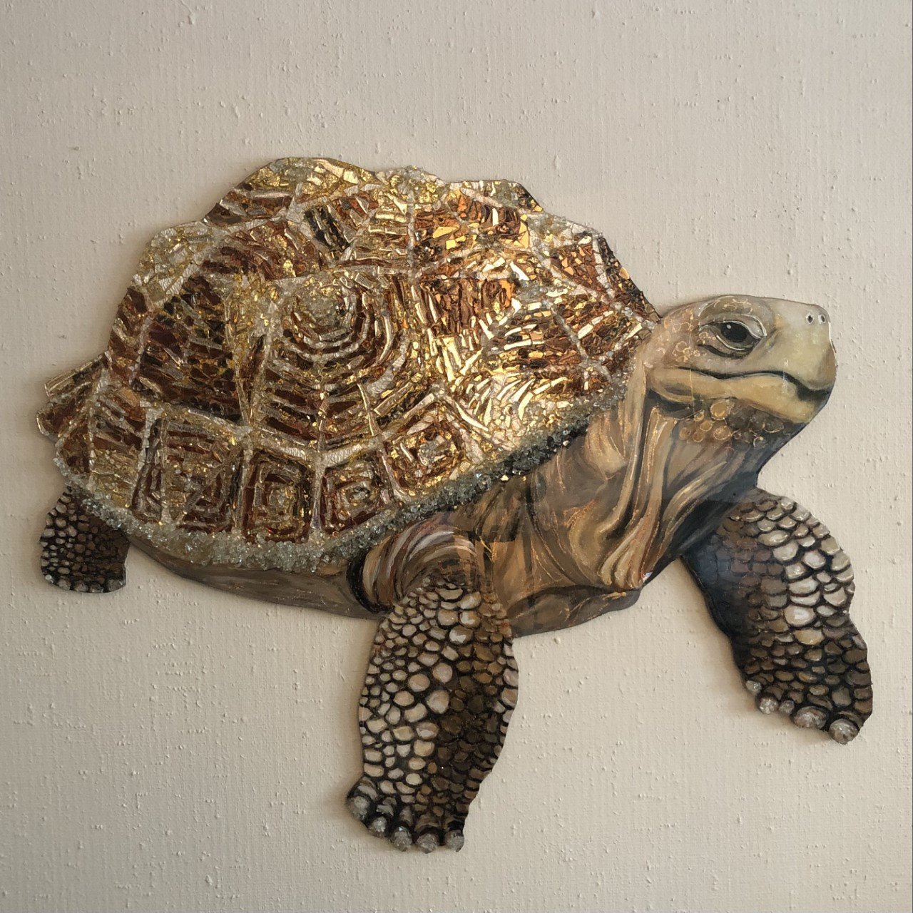 tortoise.jpeg