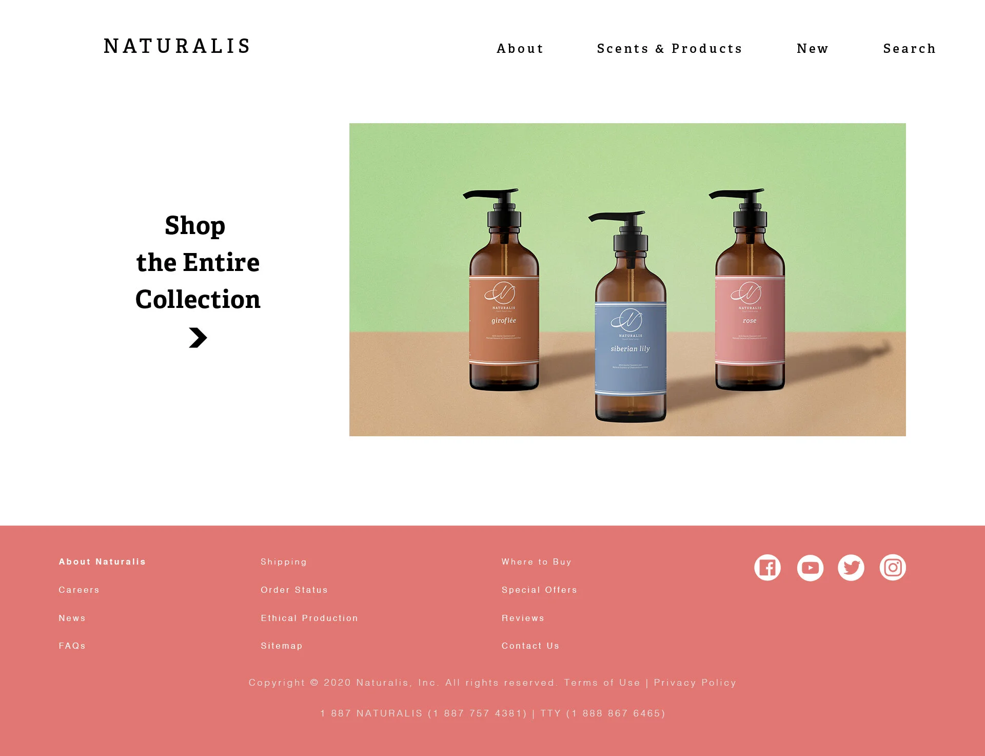naturlis_webpage_mockupCollection.jpg