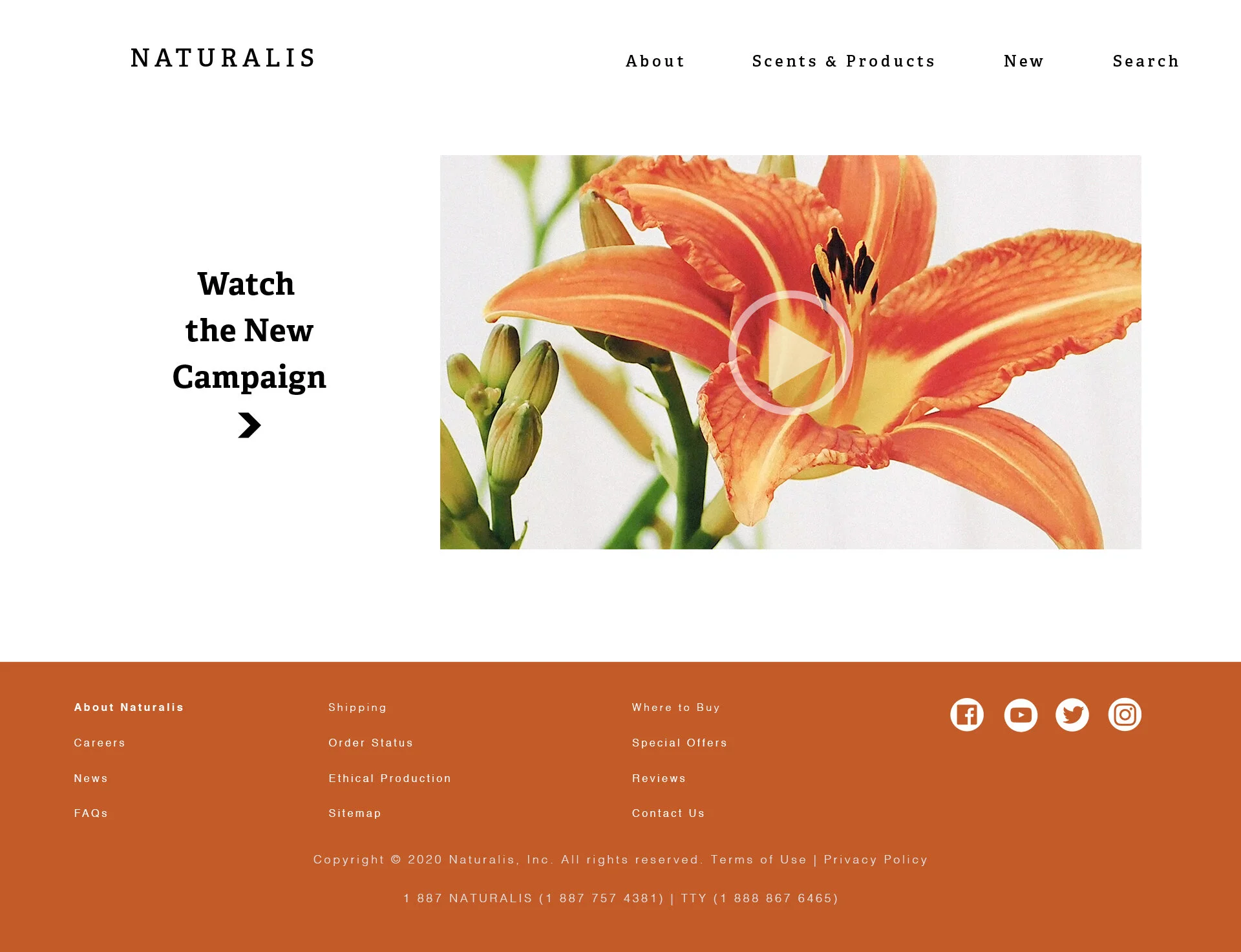 naturlis_webpage_mockupVideo.jpg