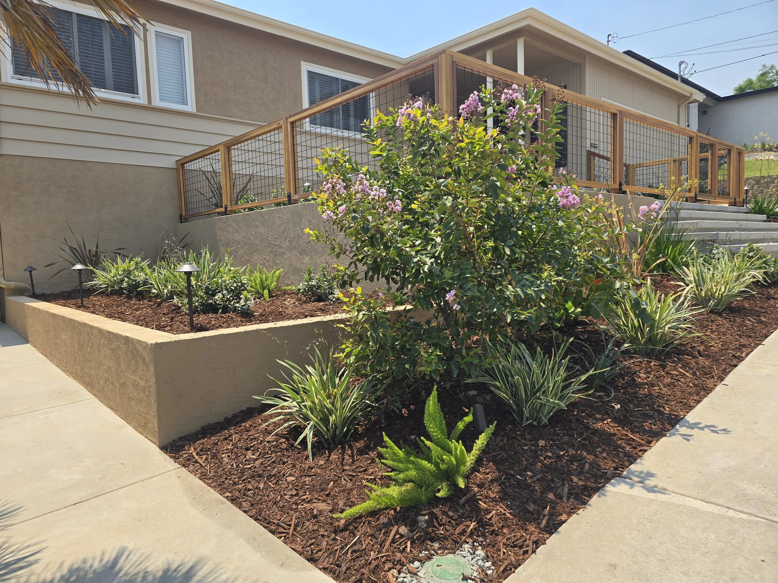 20250804_130324.jpg