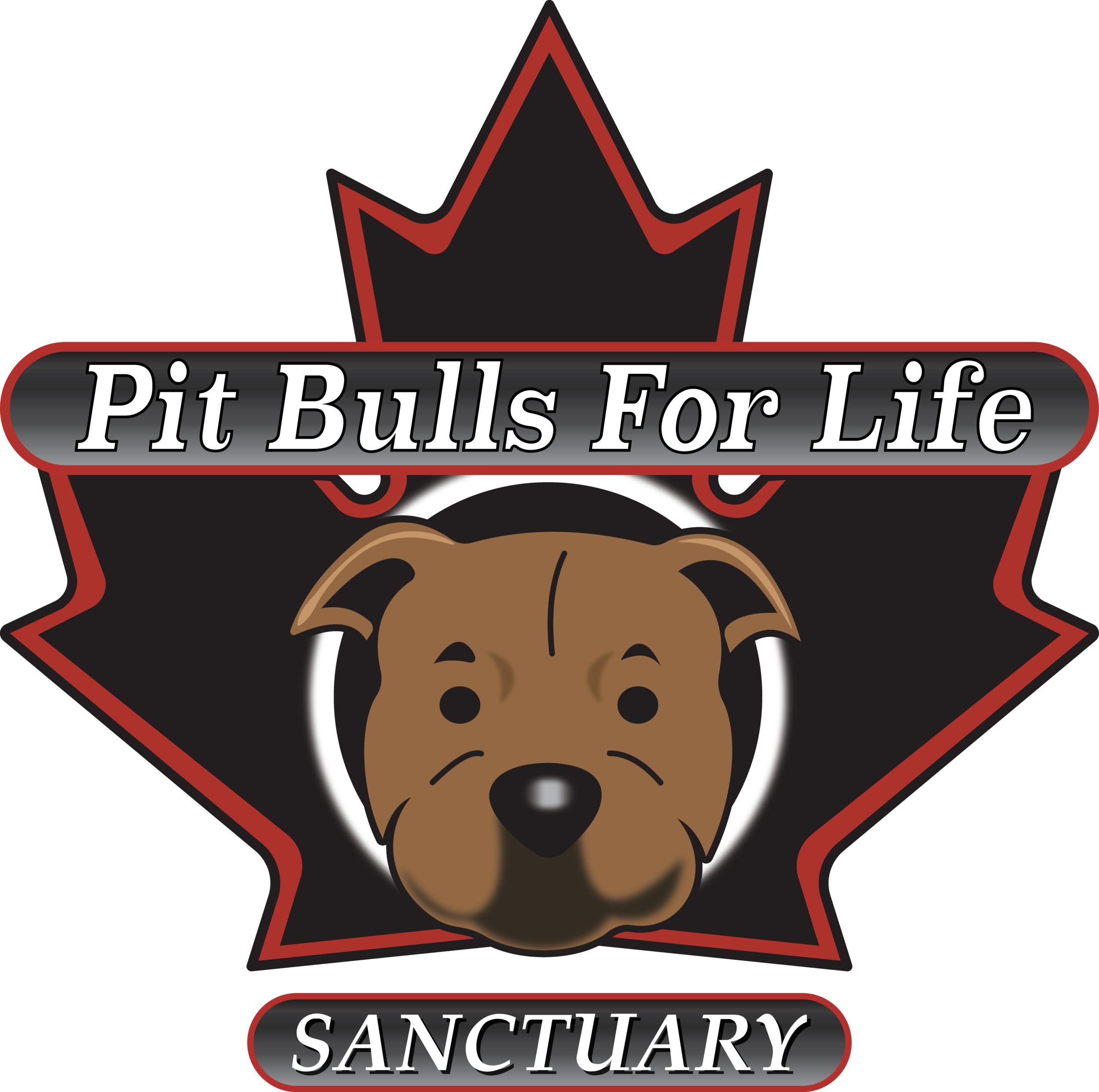 Los Angeles American Pit Bull Rescue Buy Pitbull Rehabilitation