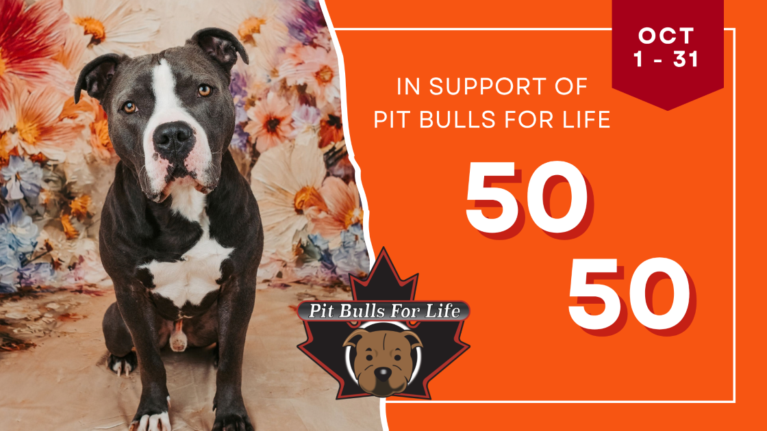 Pit Bulls for Life 50/50 fundraiser running October 1 to 31, featuring a black and white pit bull photographed in front of a floral backdrop