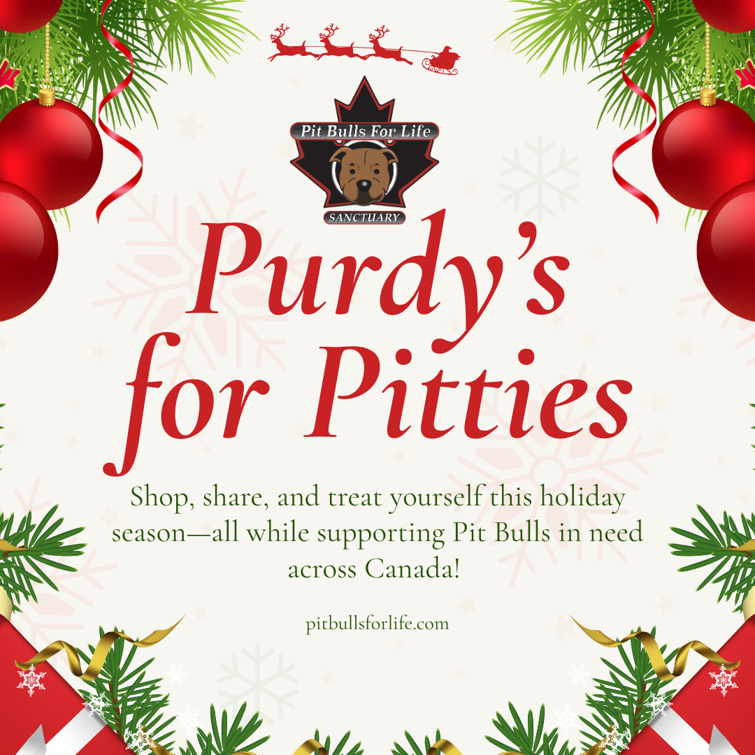 Purdy’s for Pitties holiday fundraiser for Pit Bulls for Life, featuring Christmas ornaments, evergreen branches and festive decorations. Shop and support pit bulls in need across Canada.