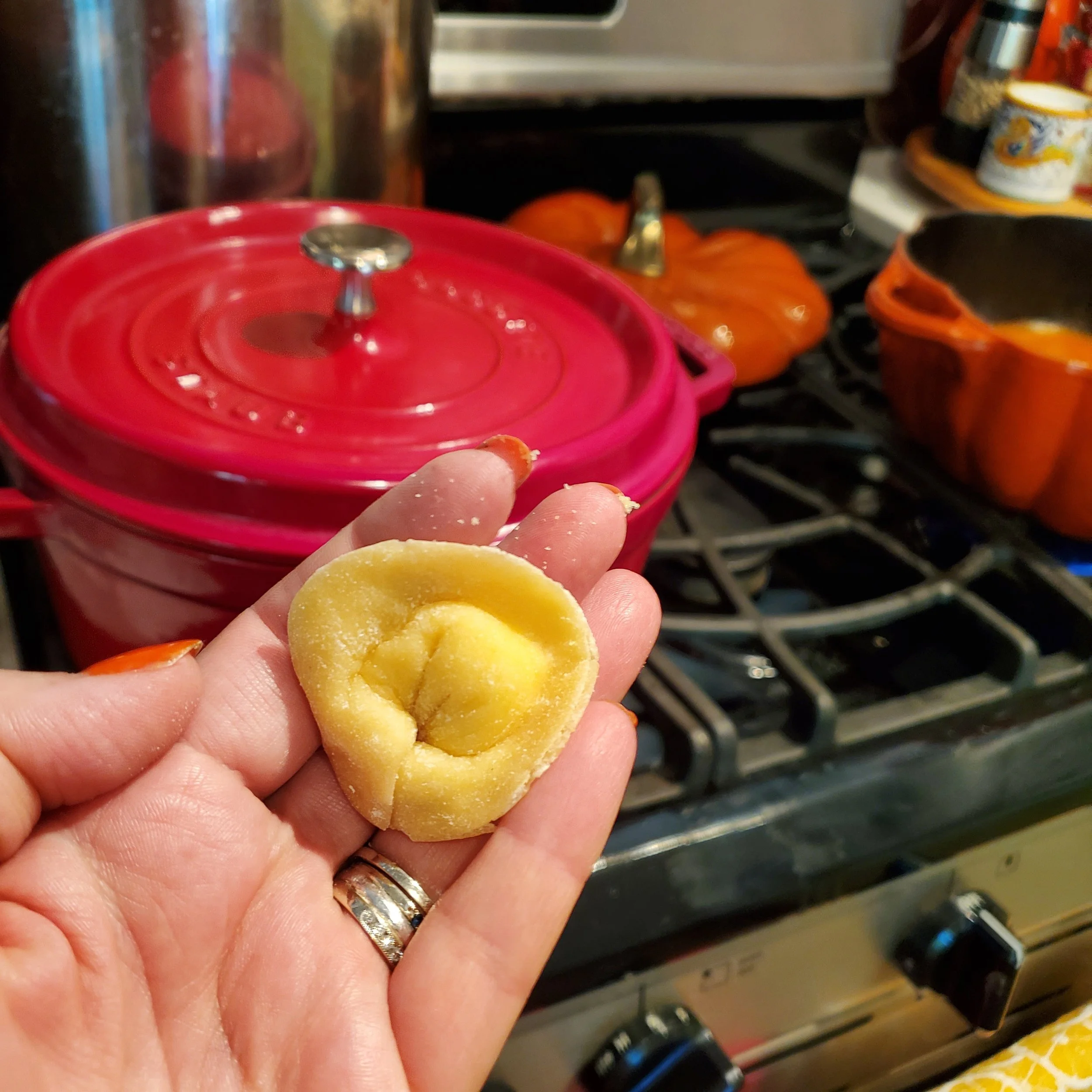Squash tortellini and Pappardelle with simple tomato $85pp 6 spots available