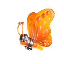Icon_Butterfly_Anim_1.gif