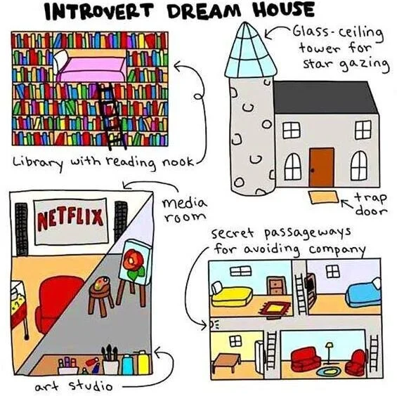 Self Quarantine Day 4:  Introverts Unite!