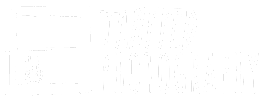 Trapped Photography