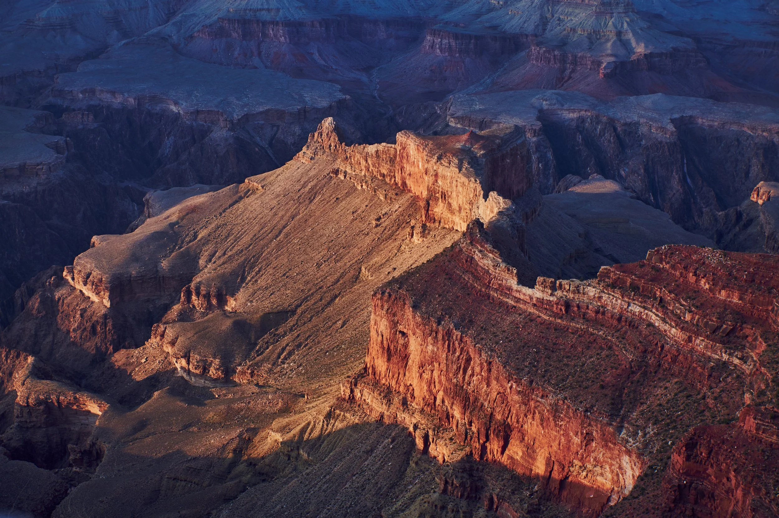 2025_USA_DSC2956. small.jpg