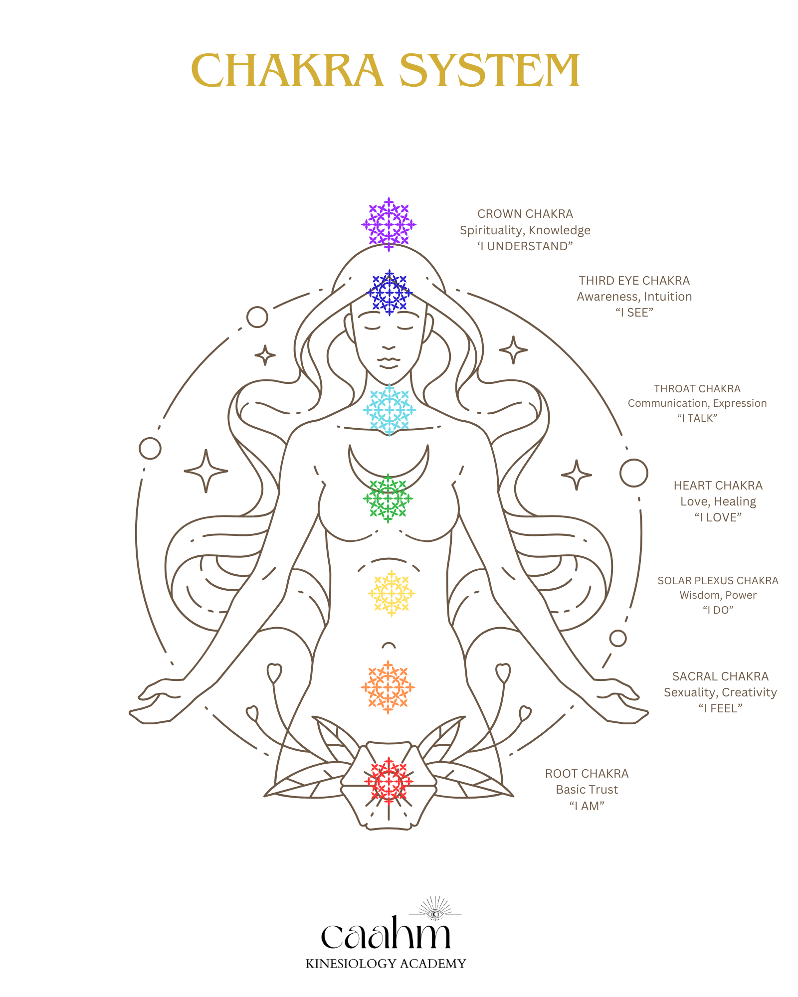 Kinesiology Chakra Poster.PNG