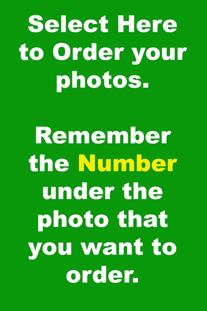 Green Order Button.jpg