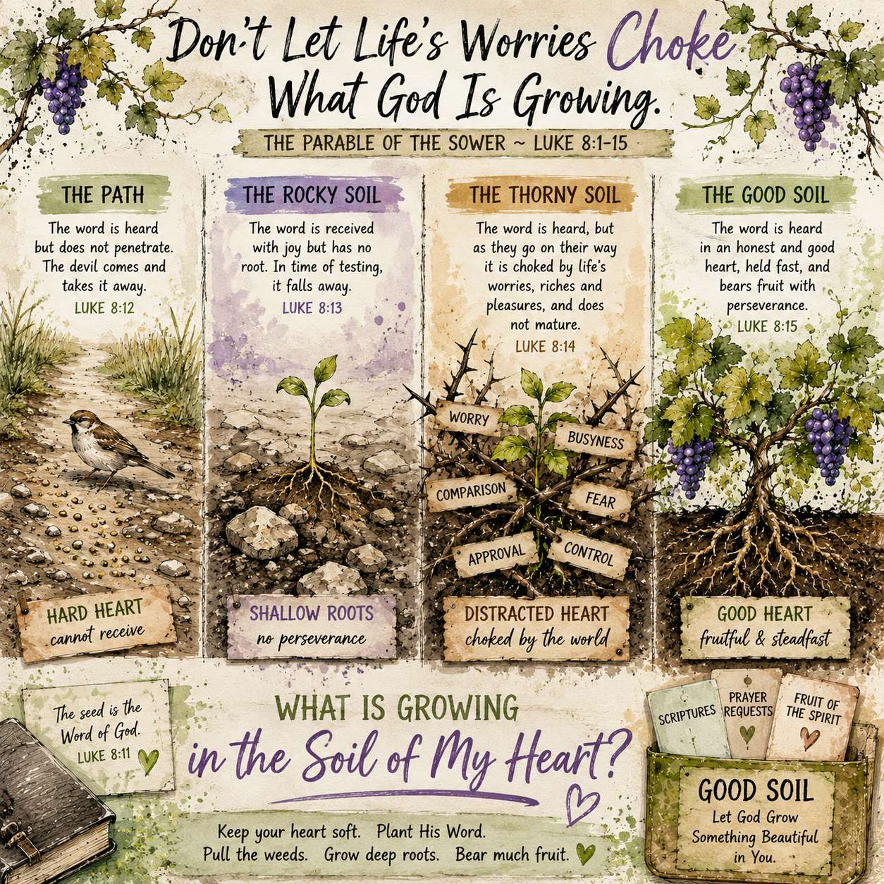 Don’t Let Life’s Worries Choke What God Is Growing