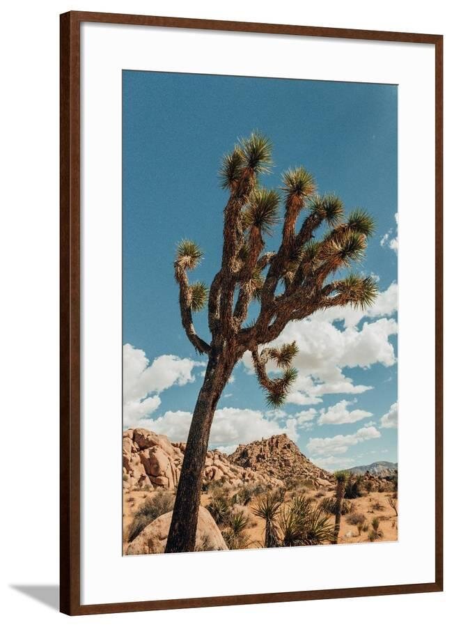 Taylor_Frame_Color.jpg