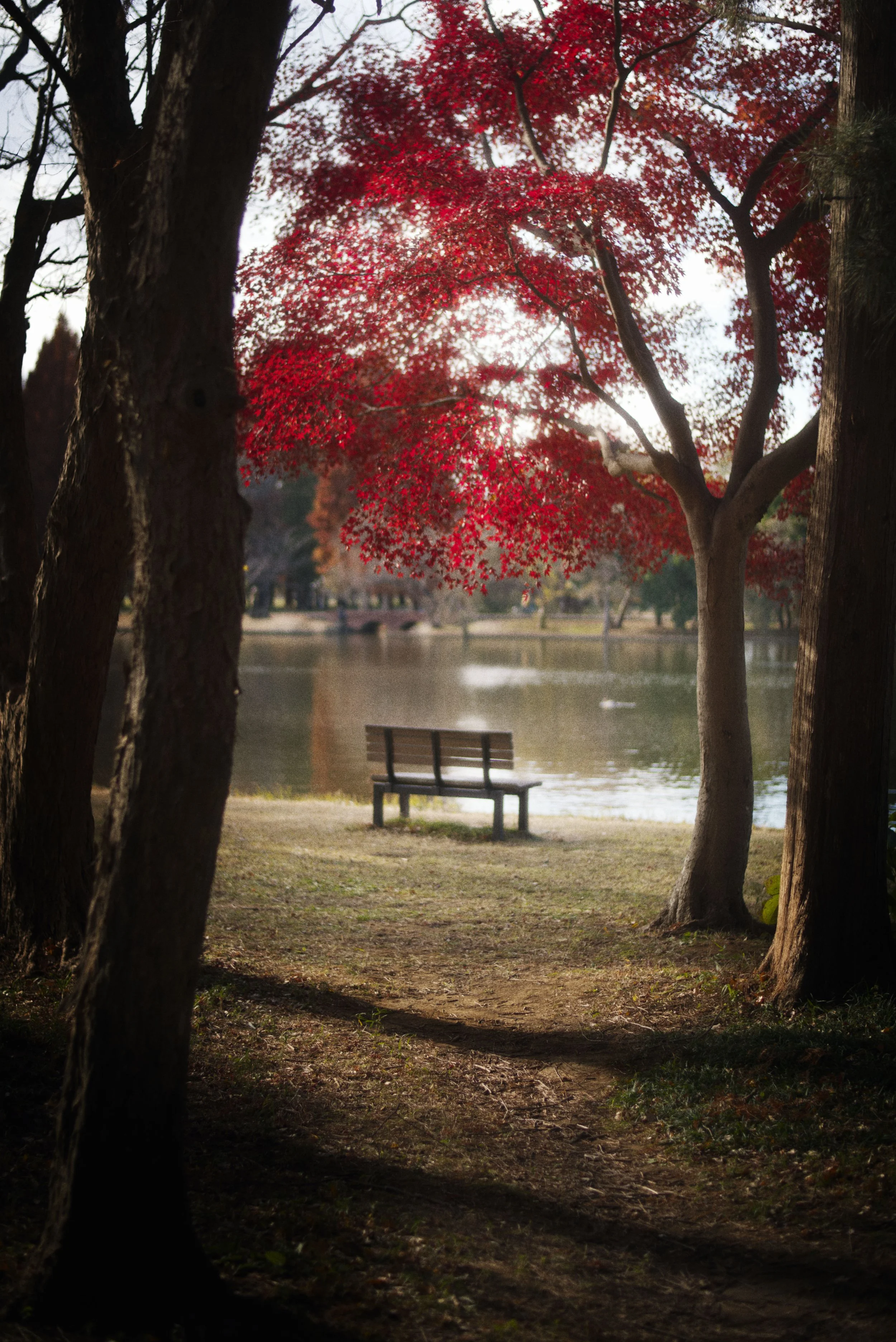 DSC_1816.jpg