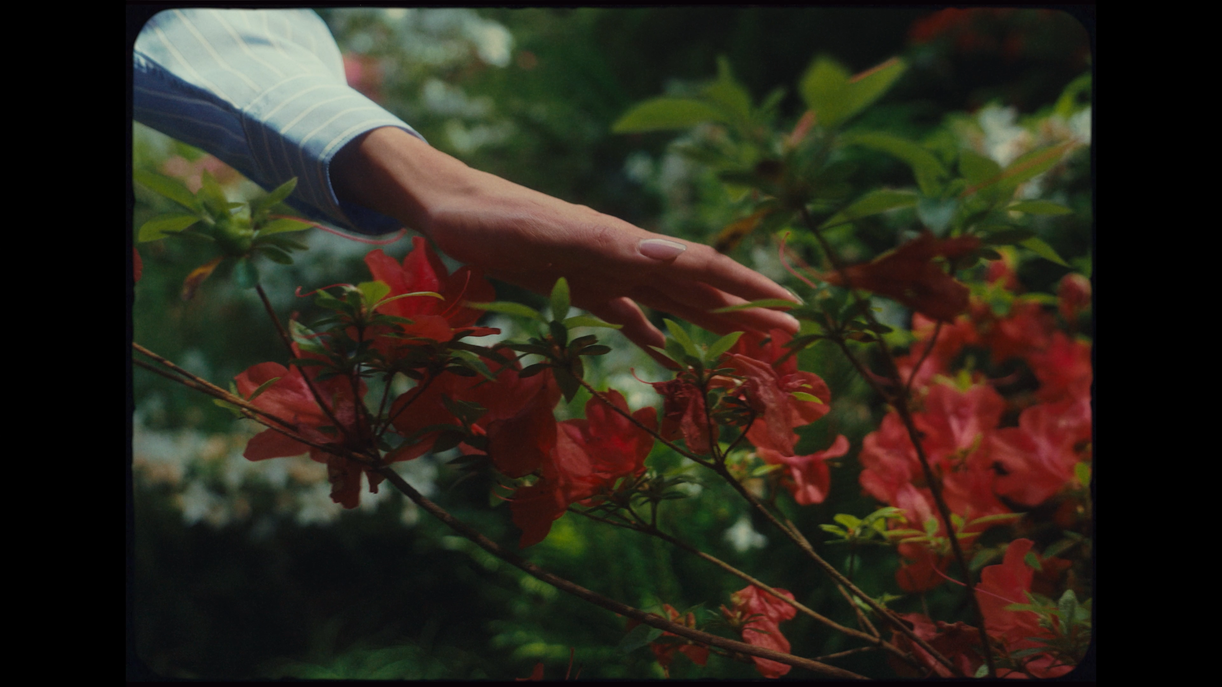 zane_coppard_'more_human'_v1 (2160p).00_04_34_22.Still021.png