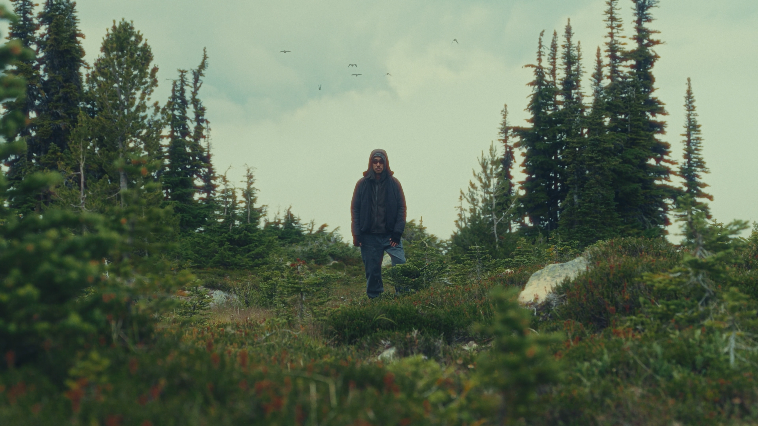zane_coppard_'more_human'_v1 (2160p).01_00_44_13.Still067.png