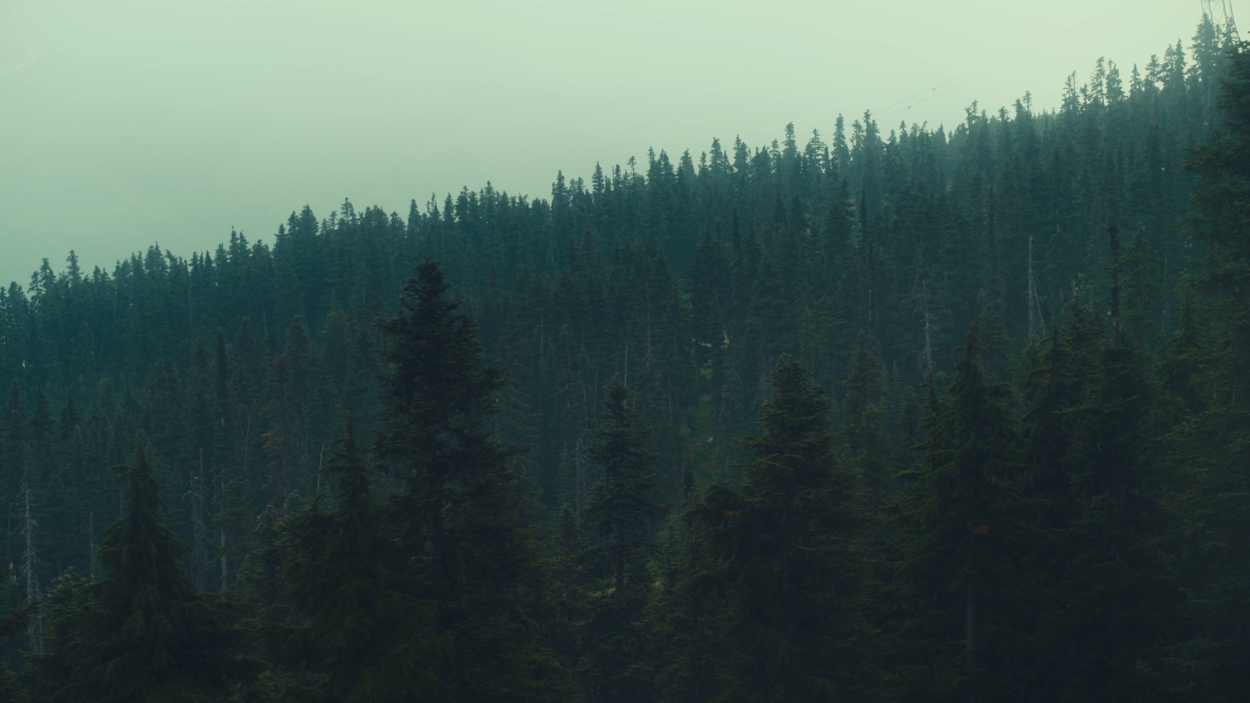 zane_coppard_'more_human'_v1 (2160p).01_00_39_08.Still065.png