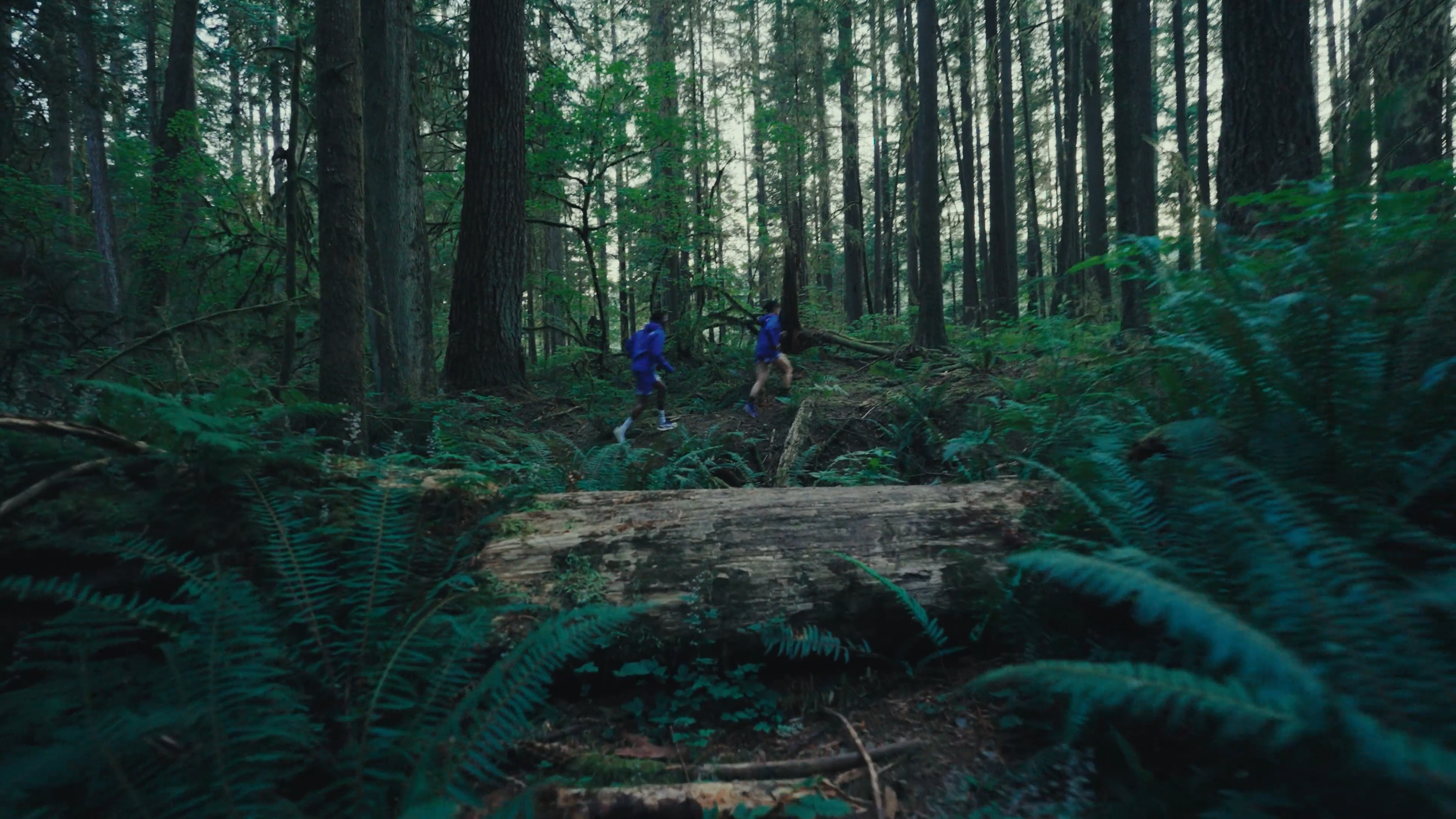 zane_coppard_'more_human'_v1 (2160p).00_02_03_21.Still107.png