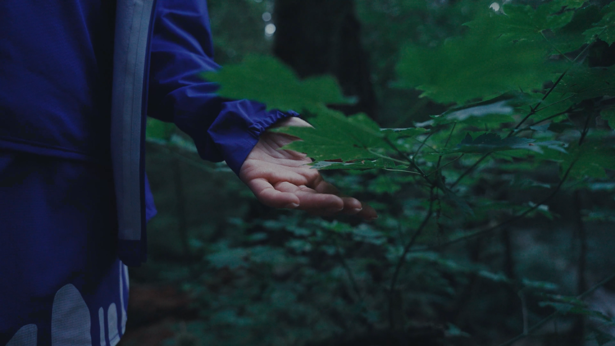 zane_coppard_'more_human'_v1 (2160p).00_02_05_14.Still108.png