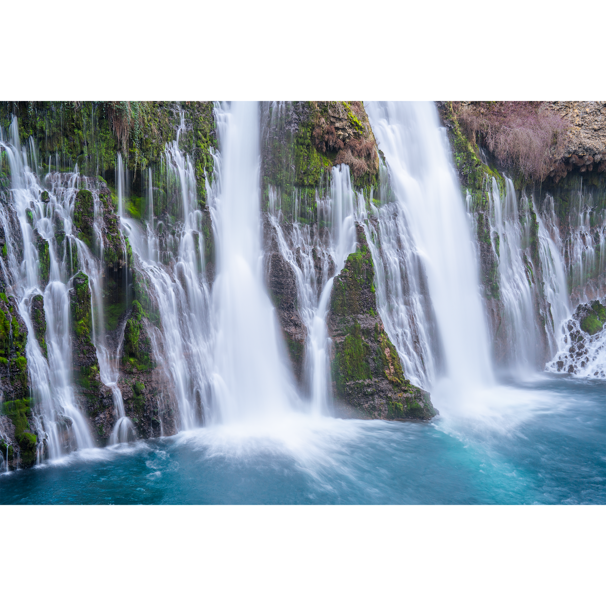 enchantment oasis tn.png