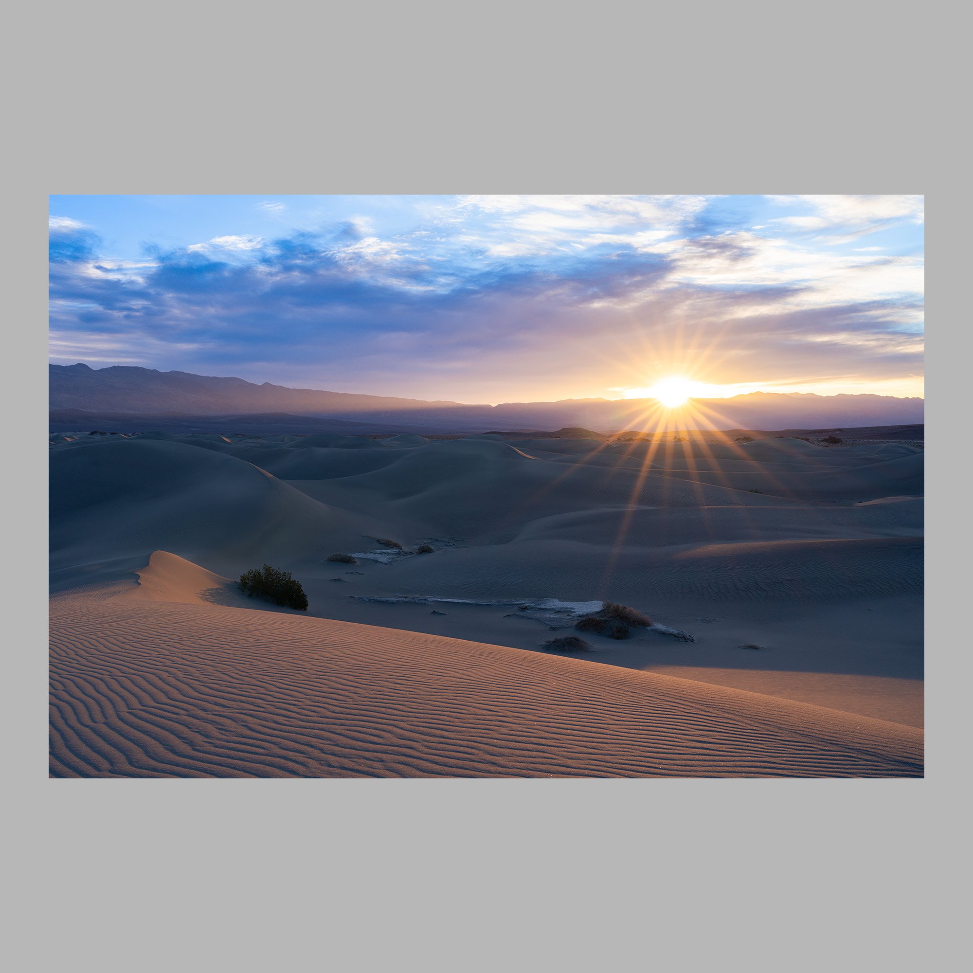 mesquite window square tn.jpg