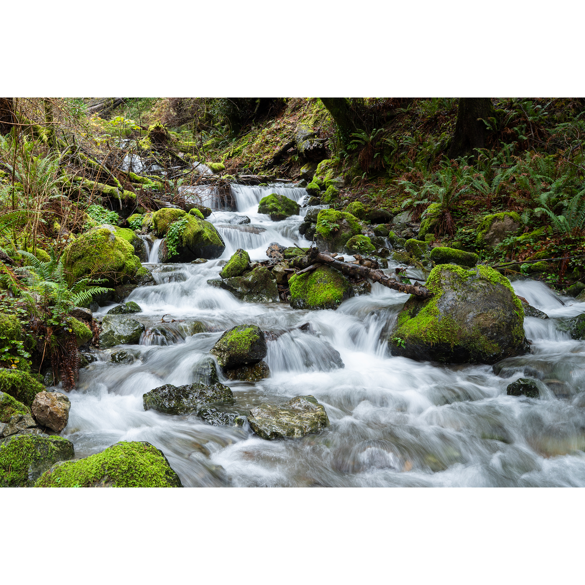 bandon stream transp tn.png
